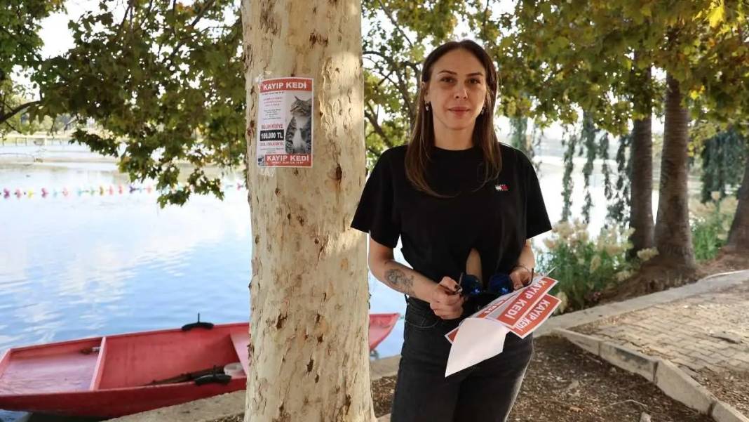 Adana’da Kayıp Kediye 100 Bin Lira Ödül! Kedisi İçin Duygusal Çağrı 1